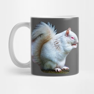 Albino Grey Squirrel Mug